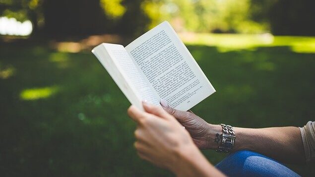 book-g3f7802be2_640.jpg